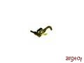 Lexmark 99A0446 (New) - purchase from Argecy