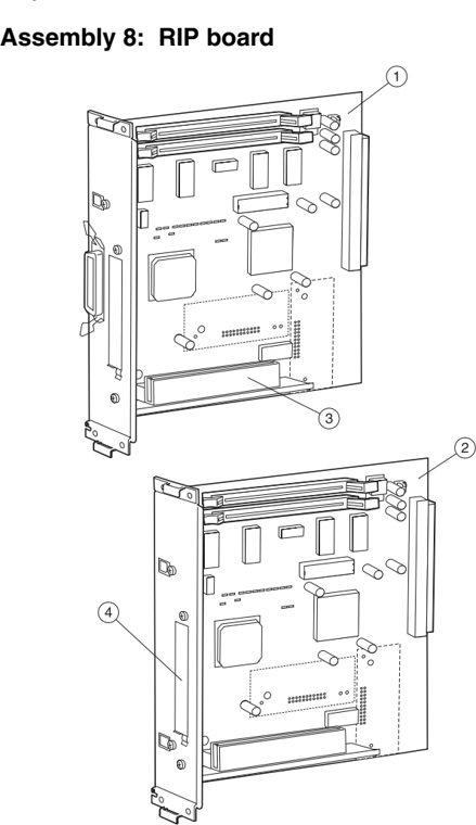 Assembly 8: RIP board parts diagram - IBM Infoprint 1334n (4934) Parts