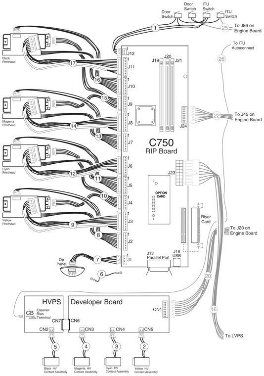 Assembly 23: Electronic cabling—RIP board parts diagram - Lexmark C750 Parts