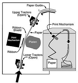T6215/T6218 Line Matrix printer paper path diagram